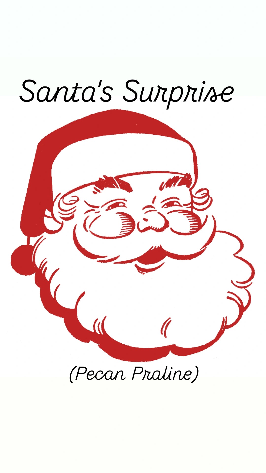 SANTA'S SURPRISE- WHILE SUPPLIES LAST